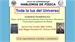 CICLO DE CONFERENCIAS HABLEMOS DE FÍSICA. Toda la luz del Universo